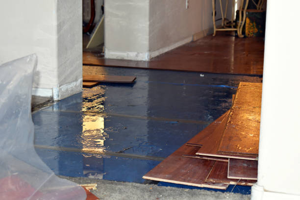Professional Basement Water Removal technician working in West Point, NY
